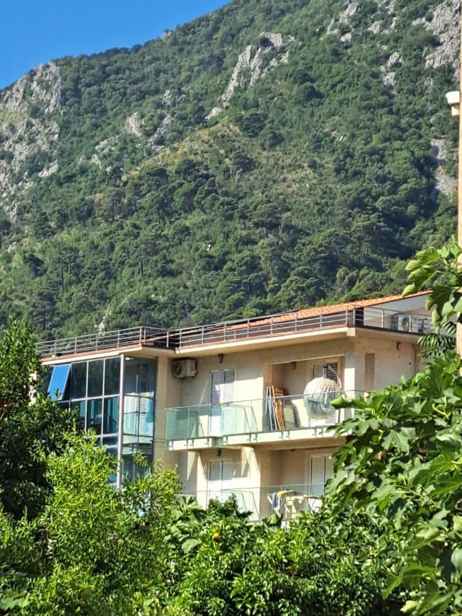 Apartments With Sea View In Prcanj Kotor Exterior photo